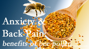 Rosenberg Wellness Center shares info on the benefits of bee pollen on cognitive function that may be impaired when dealing with back pain.