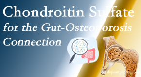 Rosenberg Wellness Center presents new research linking microbiota in the gut to chondroitin sulfate and bone health and osteoporosis. 