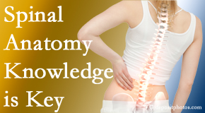 Rosenberg Wellness Center knows spinal anatomy well – a benefit to everyday chiropractic practice!