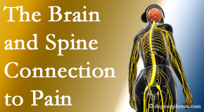 Rosenberg Wellness Center shares at the connection between the brain and spine in back pain patients to better help them find pain relief.