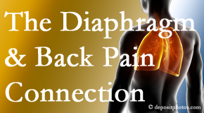 Rosenberg Wellness Center knows the relationship of the diaphragm to the body and spine and back pain. 