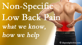 Rosenberg Wellness Center describes the specific characteristics and treatment of non-specific low back pain. 