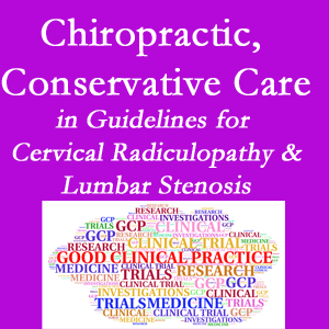 New York City chiropractic care for cervical radiculopathy and lumbar spinal stenosis is often ignored in medical studies and guidelines despite documented benefits. 