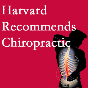 Rosenberg Wellness Center offers chiropractic care like Harvard recommends.