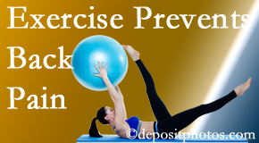 Rosenberg Wellness Center encourages New York City back pain prevention with exercise.