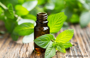 New York City peppermint pain relieving benefits