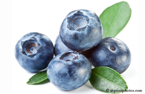 New York City chiropractic and nutritious blueberries