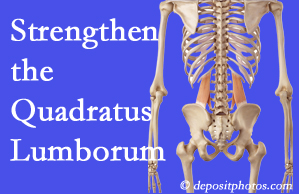 New York City chiropractic care proposes exercise recommendations to strengthen spine muscles like the quadratus lumborum as the back heals and recovers.