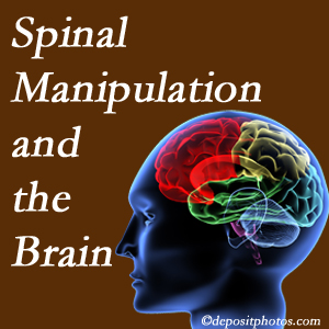 Rosenberg Wellness Center [presents research on the benefits of spinal manipulation for brain function. 