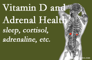 Rosenberg Wellness Center shares new studies about the effect of vitamin D on adrenal health and function.